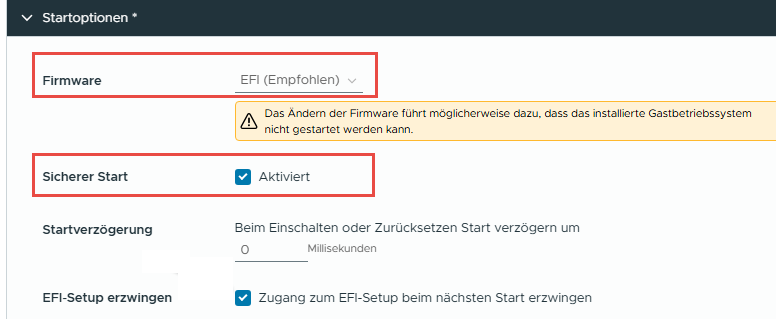 Blog Vmware Options